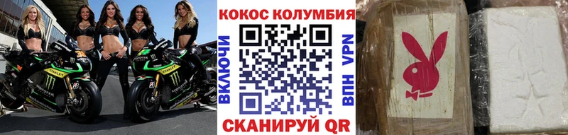 купить наркотики сайты  кракен зеркало  Cocaine Боливия  Пустошка 