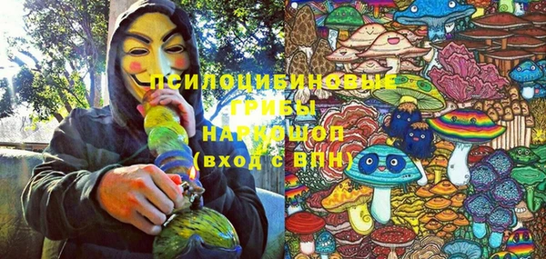 МДМА Каменка