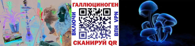 Псилоцибиновые грибы Cubensis Пустошка