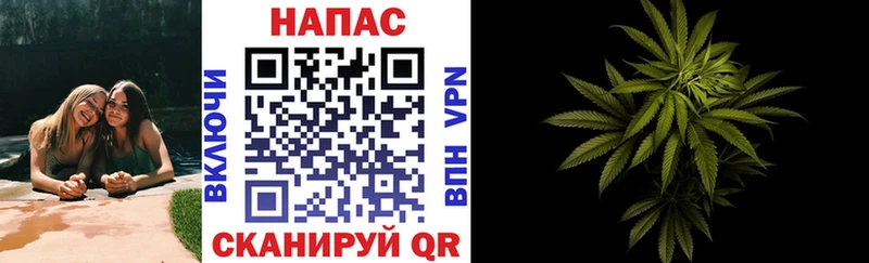 Бошки Шишки ГИДРОПОН  где продают   Пустошка 